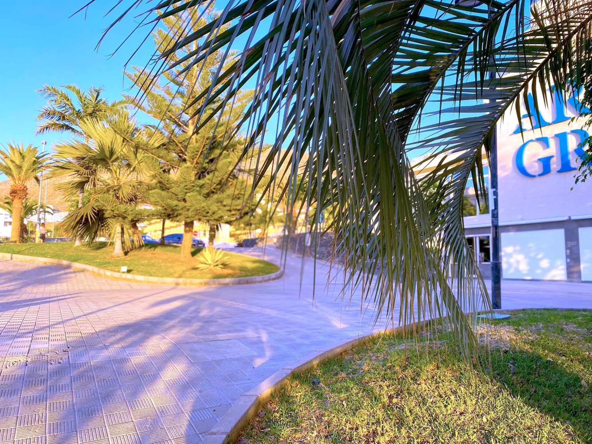 Tropicalidays Cristianos Angel Apartment Лос Кристианос Екстериор снимка
